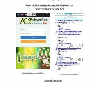 ตัวอย่างฐานข้อมูลงานวิจัยหญ้าแฝก